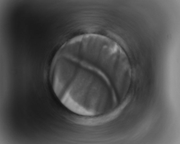 X0000087620018200705181321