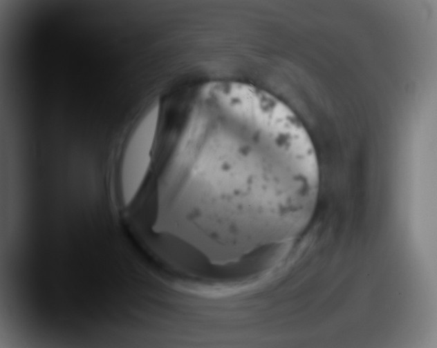 X0000087620019200705181321