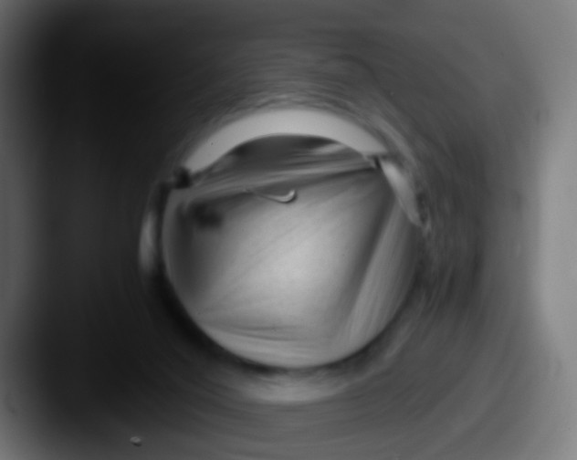 X0000087620020200705181321