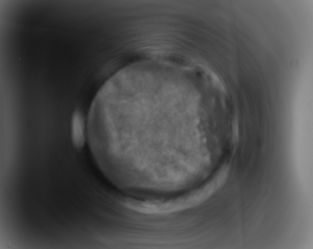 X0000087620022200705181321