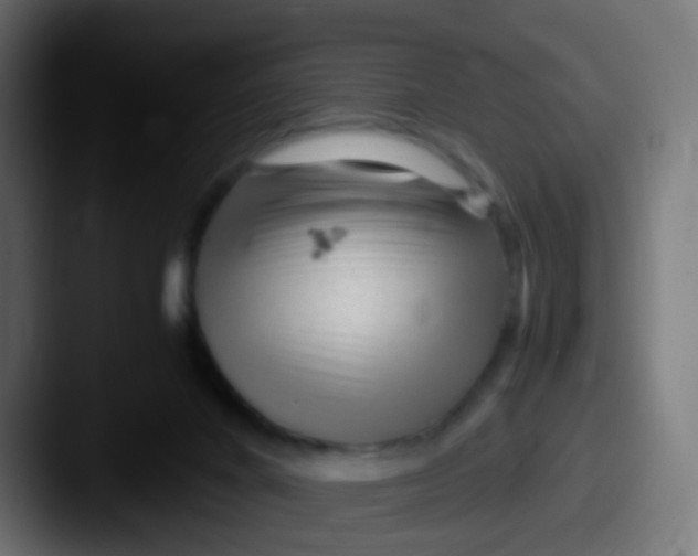 X0000087620024200705181321