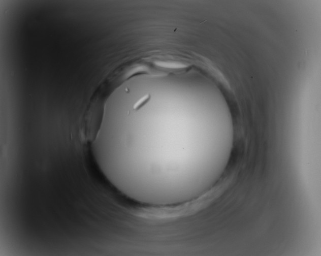 X0000087620025200705181321