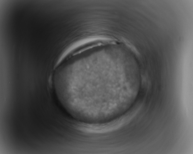 X0000087620026200705181321