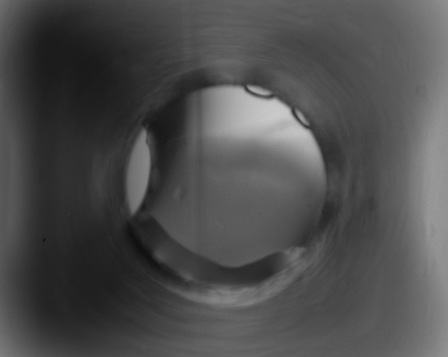 X0000087620027200705181321