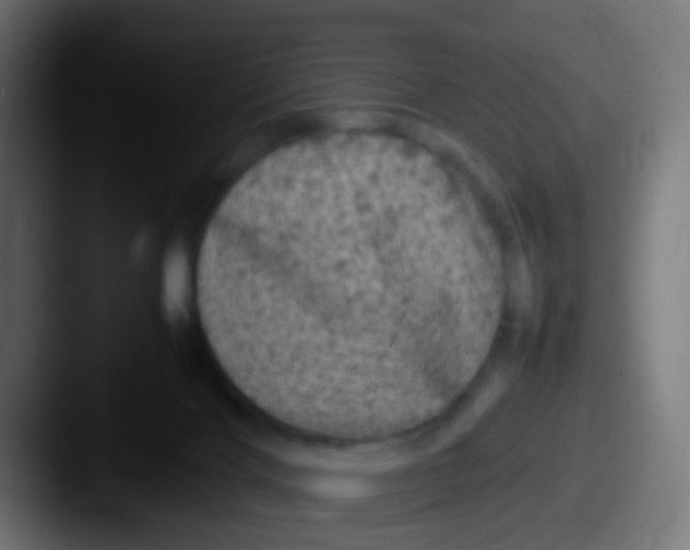 X0000087620028200705181321