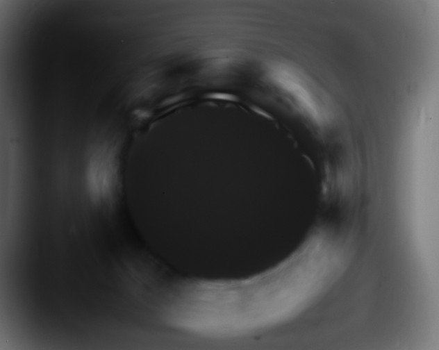 X0000087620029200705181321