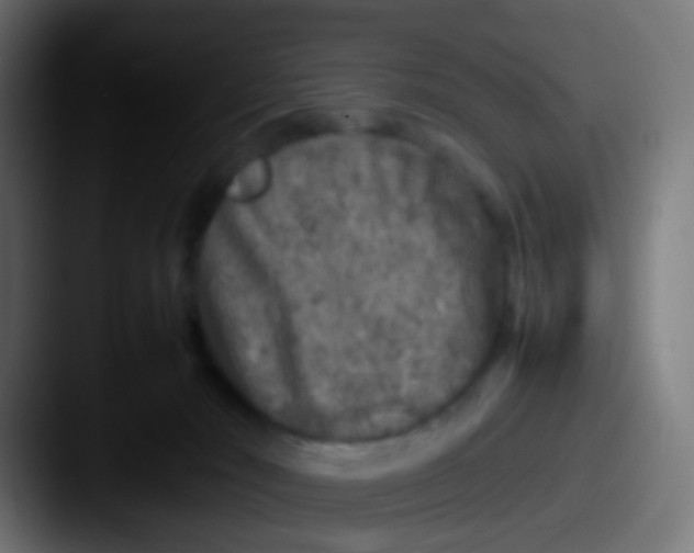 X0000087620030200705181321