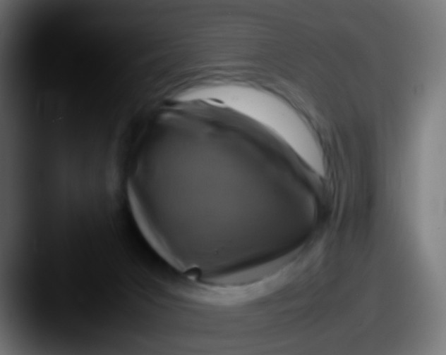 X0000087620031200705181321