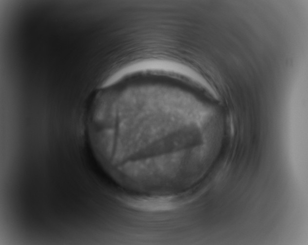 X0000087620032200705181321