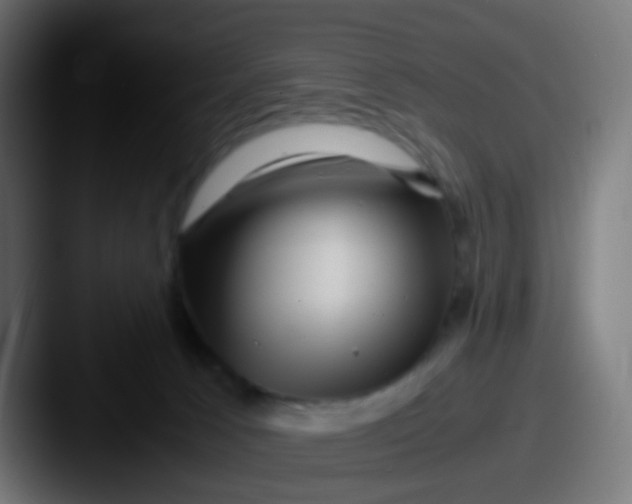 X0000087620033200705181321