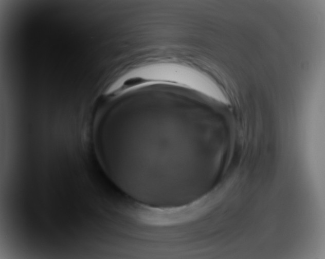 X0000087620035200705181321