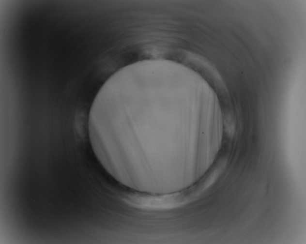 X0000087620036200705181321