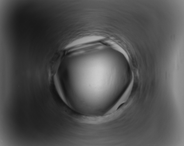 X0000087620037200705181321