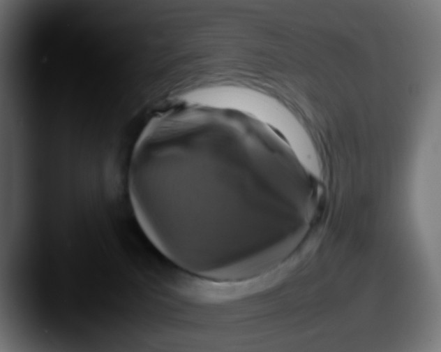 X0000087620039200705181321