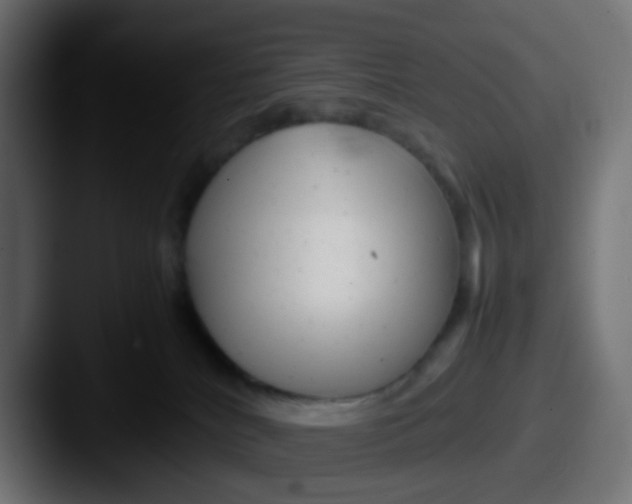 X0000087620040200705181321