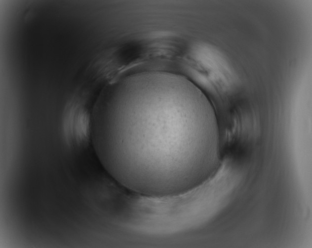 X0000087620041200705181321