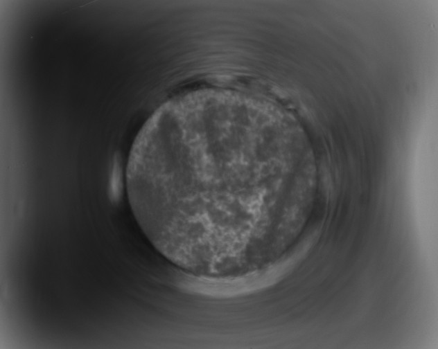 X0000087620042200705181321