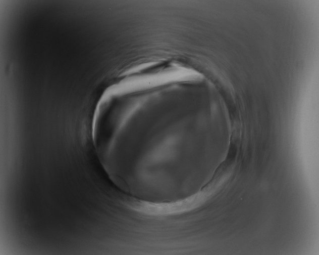 X0000087620043200705181321