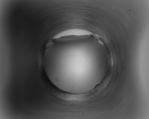 X0000087620044200705181321