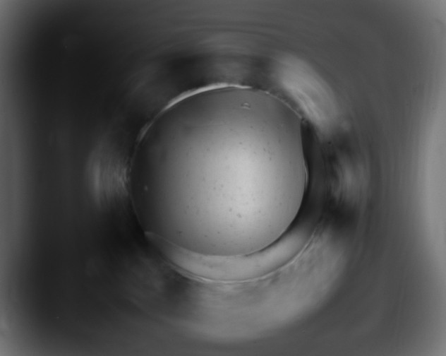 X0000087620045200705181321