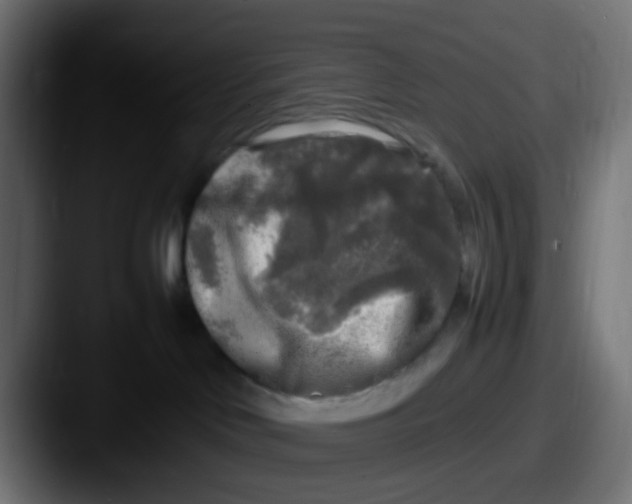 X0000087620046200705181321