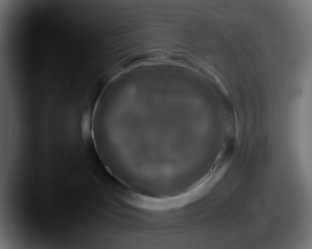 X0000087620047200705181321