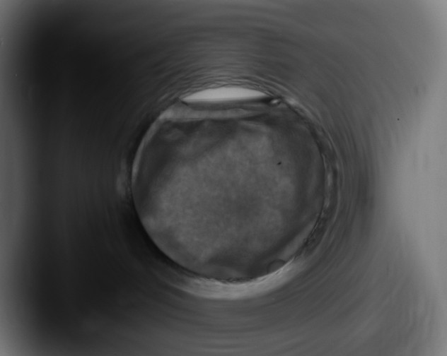 X0000087620048200705181321