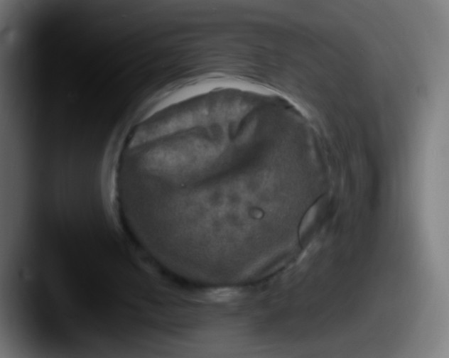 X0000087620050200705181320