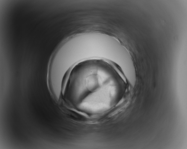 X0000087620052200705181320