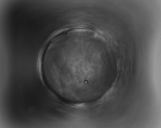 X0000087620054200705181320