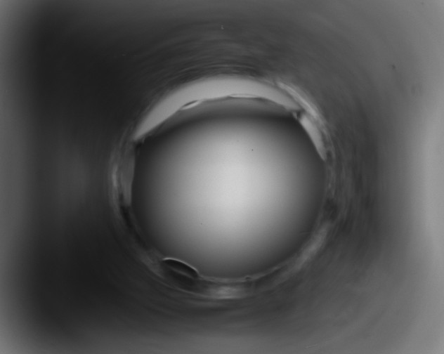 X0000087620057200705181320