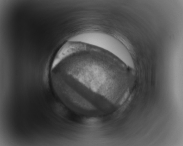 X0000087620058200705181320