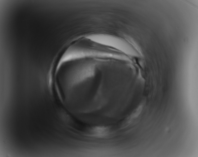 X0000087620059200705181320