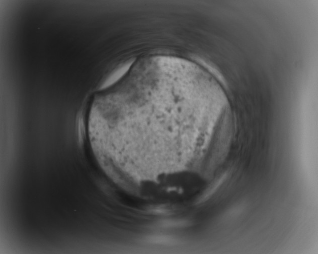 X0000087620061200705181320