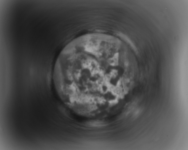 X0000087620065200705181320