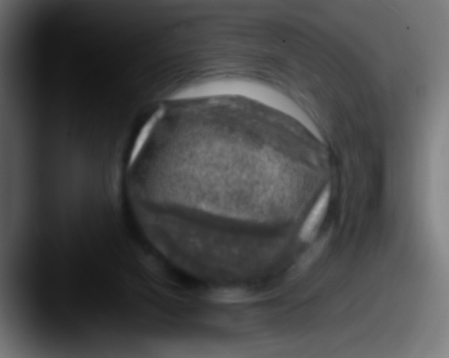 X0000087620066200705181320