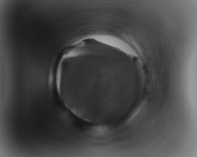 X0000087620067200705181320