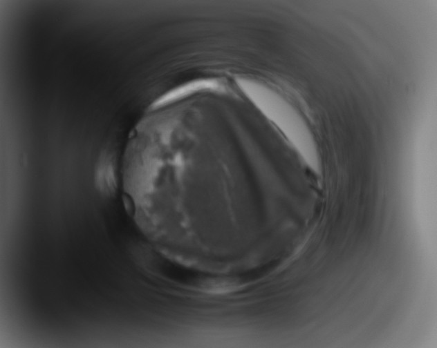 X0000087620069200705181320