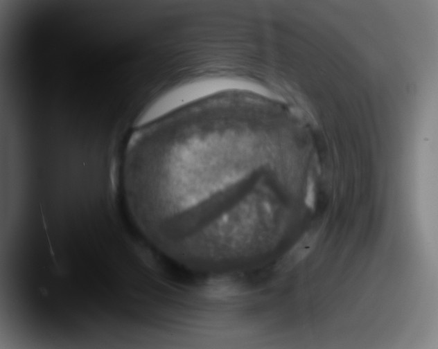 X0000087620070200705181320