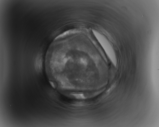 X0000087620071200705181320