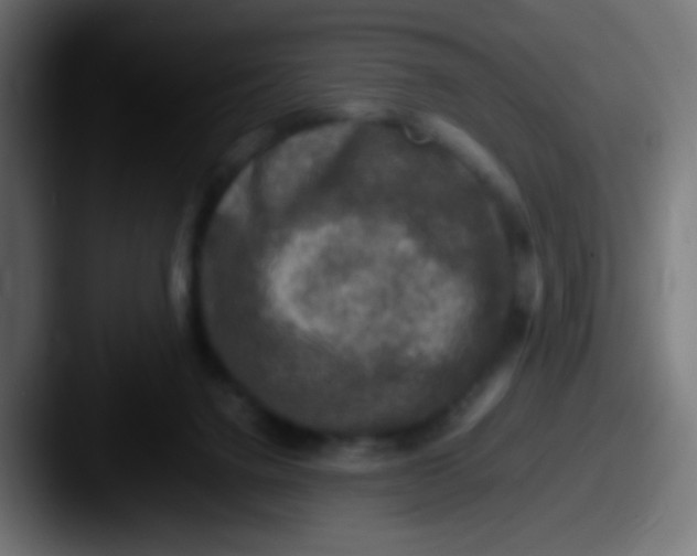 X0000087620072200705181320