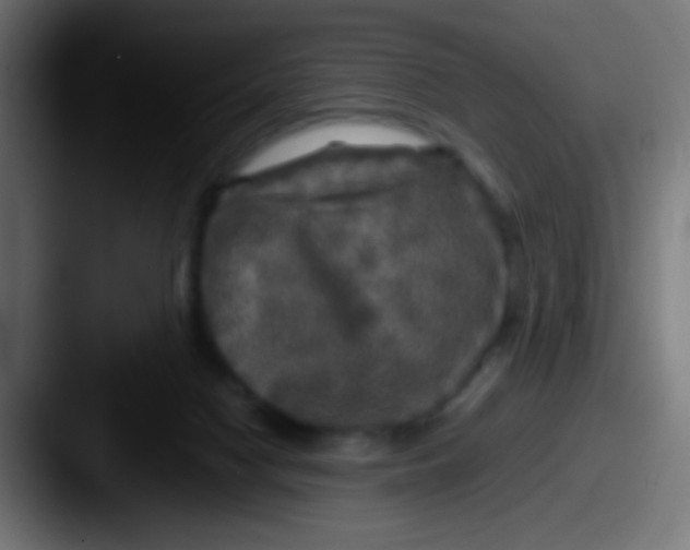 X0000087620074200705181320