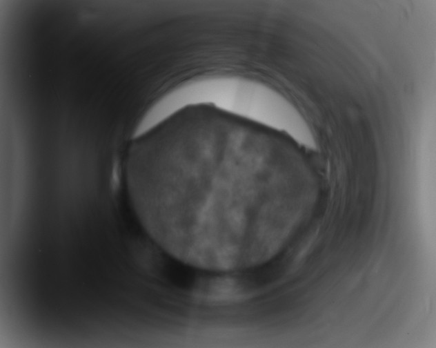 X0000087620075200705181320