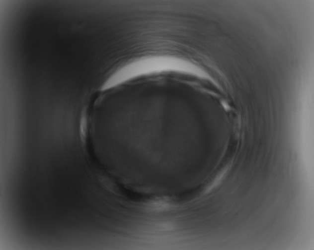 X0000087620076200705181320