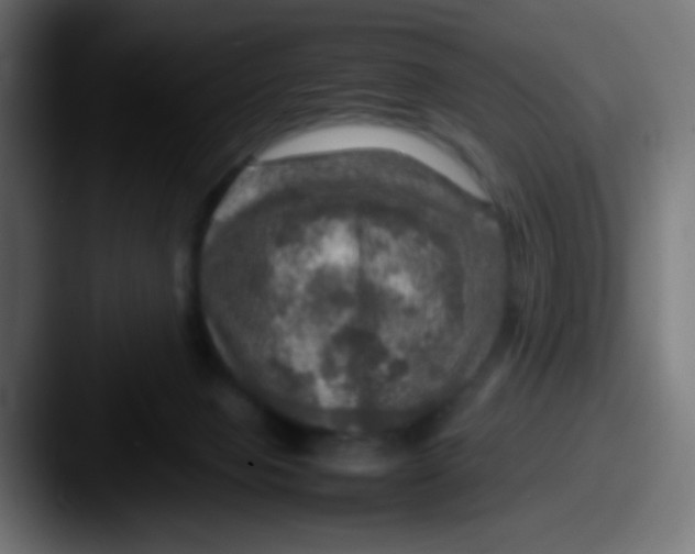 X0000087620077200705181320