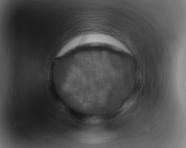 X0000087620078200705181320