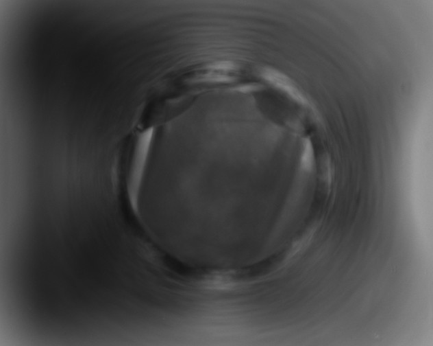 X0000087620080200705181320