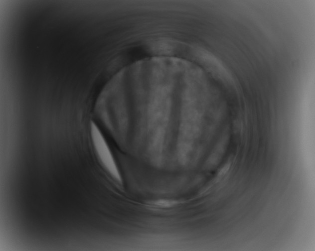 X0000087620081200705181320