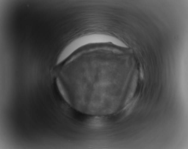 X0000087620082200705181320