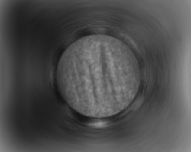 X0000087620083200705181320